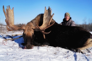 November Moose Hunts
